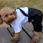 Dog Suit and Bow Tie Outfit. Shop Dog Supplies on Mounteen. Worldwide shipping available.