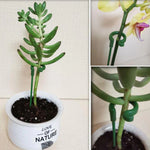 Plant Support Stake. Shop Plant Cages & Supports on Mounteen. Worldwide shipping available.
