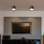 Black Dimmable Waterproof Outdoor Ceiling Light 75-100mm - Buy Outdoor Light Fixtures on Mounteen. Worldwide shipping.
