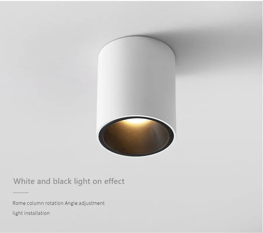 Black & White Waterproof LED Shower Light IP65 - Buy Bathroom Light Fixtures on Mounteen. Worldwide shipping.