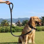 2-in-1 Rolled Leather Dog Collar & Leash. Shop Pet Collars & Harnesses on Mounteen. Worldwide shipping available.