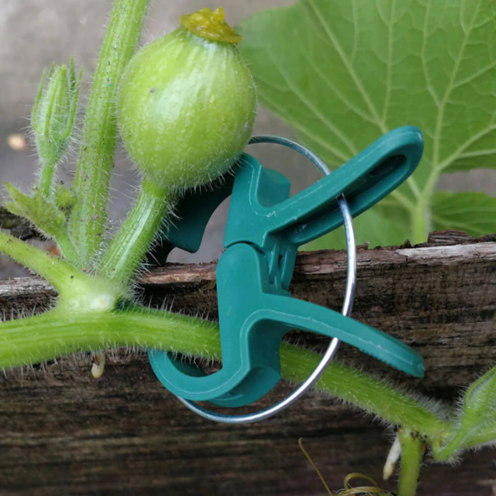20 Pcs Plastic Plant Support Clips. Shop Gardening Tools on Mounteen. Worldwide shipping available.
