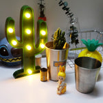 Cactus Night Light - Mounteen.com