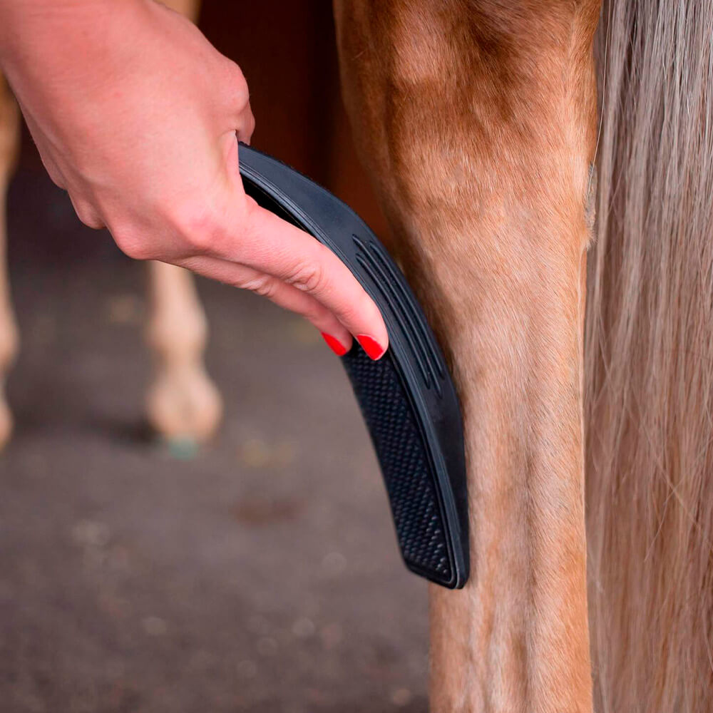 6-In-1 Hair Removal Beauty Massages Brush. Shop Horse Grooming Combs, Brushes & Mitts on Mounteen. Worldwide shipping available.