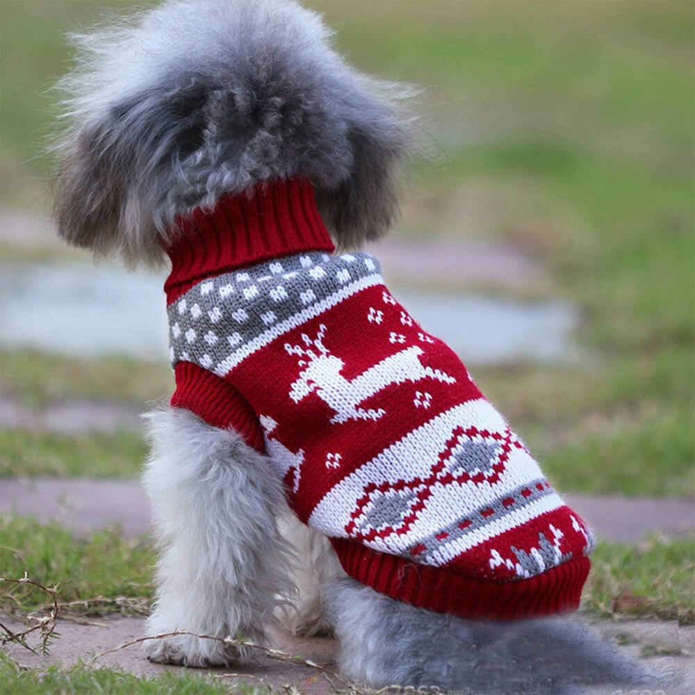 Adorable Dog Reindeer Costume For Christmas. Shop Dog Supplies on Mounteen. Worldwide shipping available.