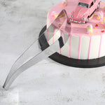 All in One Cake Slicer And Server. Shop Cake Servers on Mounteen. Worldwide shipping available.