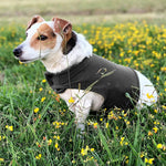 Anti-Anxiety Dog Vest. Shop Dog Supplies on Mounteen. Worldwide shipping available.