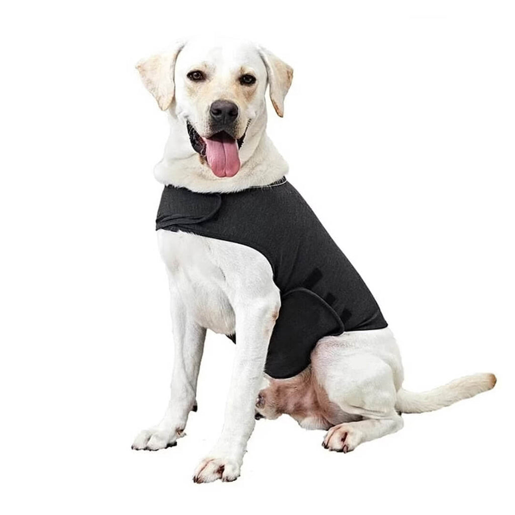 Anti-Anxiety Dog Vest. Shop Dog Supplies on Mounteen. Worldwide shipping available.