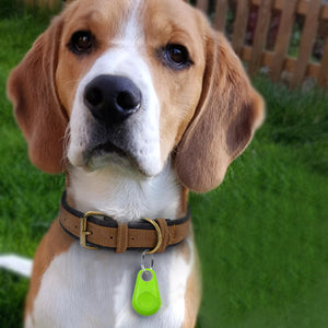 Anti-Lost Pet GPS Tracker. Shop GPS Tracking Devices on Mounteen. Worldwide shipping available.