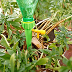 Automatic Water Spikes. Shop Watering Globes & Spikes on Mounteen. Worldwide shipping available.