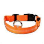 Battery Powered Luminous Dog Collar. Shop Pet Collars & Harnesses on Mounteen. Worldwide shipping available.