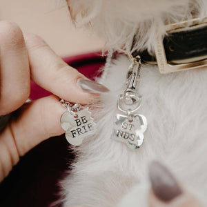 Best Friend Necklace & Tag for You & Your Dog!. Shop Pet ID Tags on Mounteen. Worldwide shipping available.