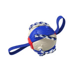 Bouncing Frisbee Ball Interactive Dog Toy. Shop Dog Toys on Mounteen. Worldwide shipping available.
