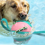 Bouncing Frisbee Ball Interactive Dog Toy. Shop Dog Toys on Mounteen. Worldwide shipping available.
