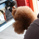 BriteDoggie Pet Selfie Stick. Shop Pet Training Aids on Mounteen. Worldwide shipping available.