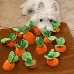 Carrot Pull Radish Plush Toy. Shop Educational Toys on Mounteen. Worldwide shipping available.