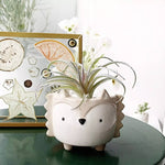 Cartoon Animal Shaped Ceramic Flower Pots. Shop Pots & Planters on Mounteen. Worldwide shipping available.