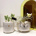 Cartoon Animal Shaped Ceramic Flower Pots. Shop Pots & Planters on Mounteen. Worldwide shipping available.