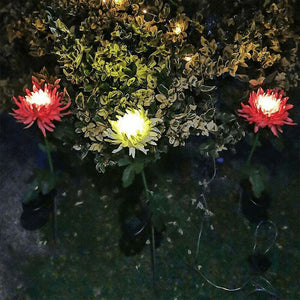Chrysanthemum Solar Garden Stake LED. Shop Night Lights & Ambient Lighting on Mounteen. Worldwide shipping available.