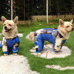 Comfy Dog Winter Jumpsuit. Shop Dog Supplies on Mounteen. Worldwide shipping available.