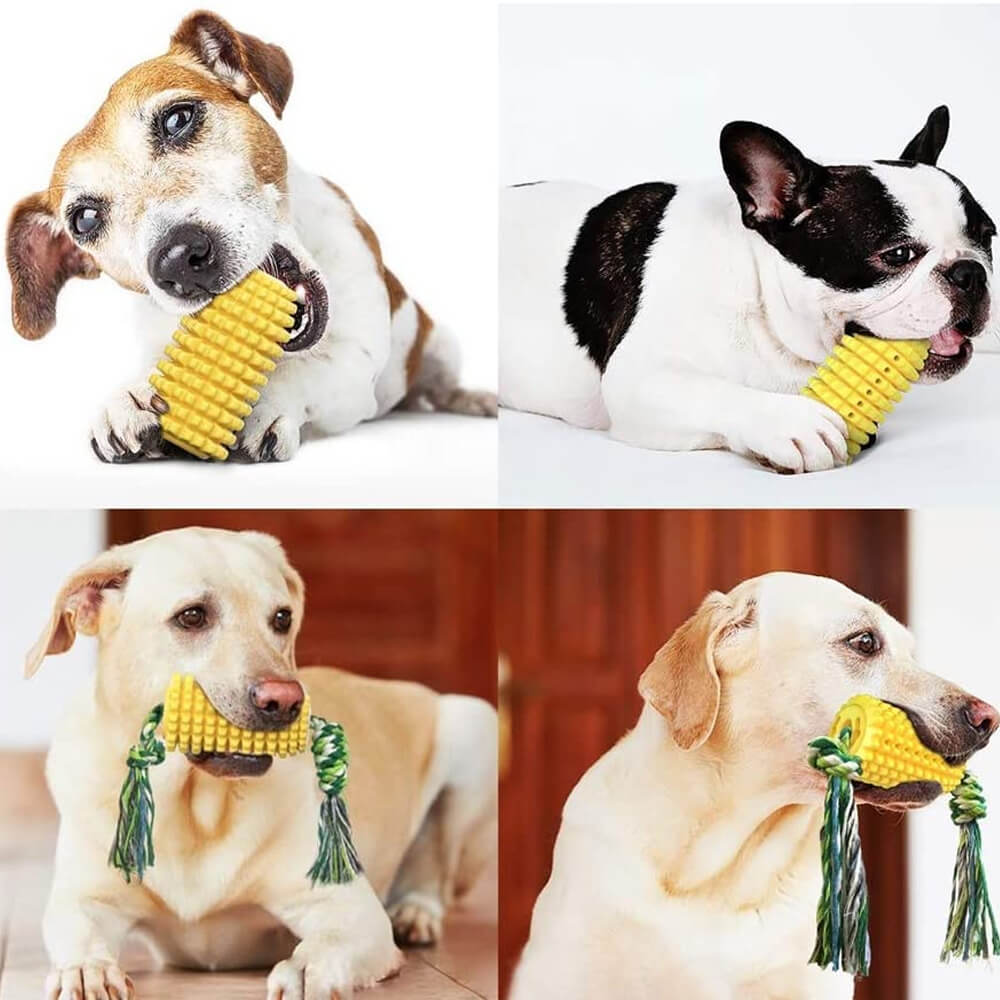Corn Cob Dog Teeth Cleaning Chew Toy. Shop Dog Toys on Mounteen. Worldwide shipping available.