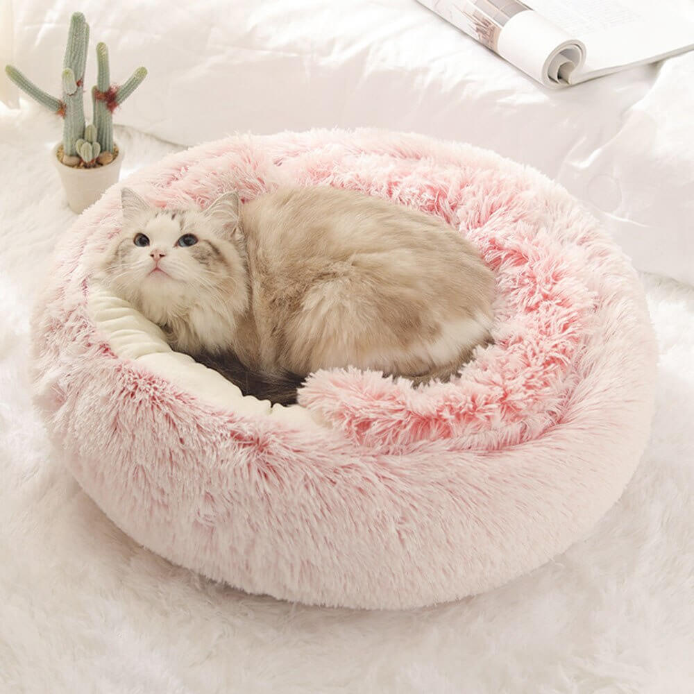 Cute Cat Sleeping Bag - Soft and Comfortable. Shop Cat Supplies on Mounteen. Worldwide shipping available.