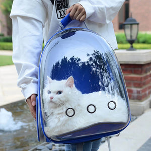 Cute Clear Cat Backpack Carrier. Shop Cat Supplies on Mounteen. Worldwide shipping available.