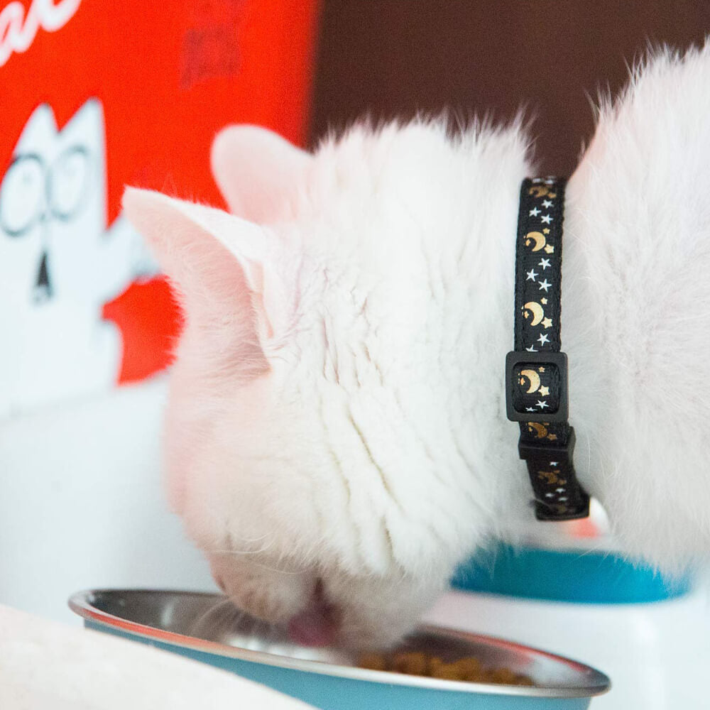 Cute Star and Moon Cat Collar. Shop Cat Supplies on Mounteen. Worldwide shipping available.