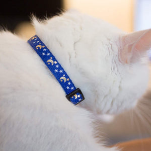 Cute Star and Moon Cat Collar. Shop Cat Supplies on Mounteen. Worldwide shipping available.