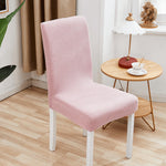 Decorative Chair Covers. Shop Chair Accessories on Mounteen. Worldwide shipping available.