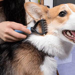 Dematting Comb For Dogs. Shop Pet Grooming Supplies on Mounteen. Worldwide shipping available.