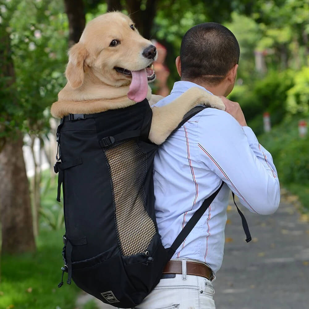 Dog Backpack Sack Carrier. Shop Dog Supplies on Mounteen. Worldwide shipping available.