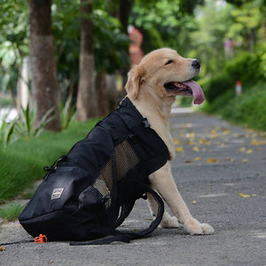 Dog Backpack Sack Carrier. Shop Dog Supplies on Mounteen. Worldwide shipping available.