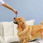 Dog Chew Cleaner. Shop Dog Supplies on Mounteen. Worldwide shipping available.