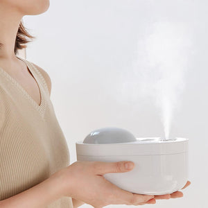 Double Spray Projection Humidifier. Shop Humidifiers on Mounteen. Worldwide shipping available.