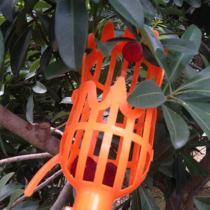 Easy Fruit 2-In-1 Picker & Basket. Shop Gardening Tools on Mounteen. Worldwide shipping available.