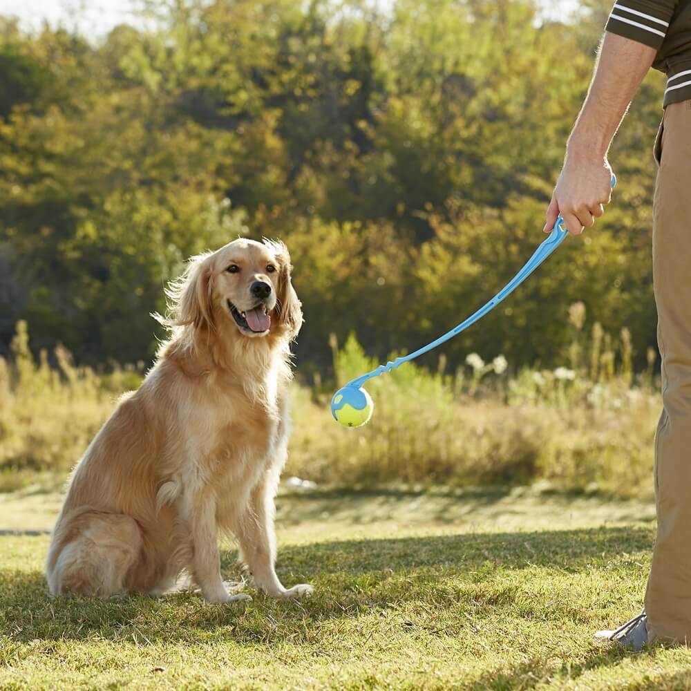 Fetch It Manual Dog Ball Launcher & Thrower. Shop Dog Supplies on Mounteen. Worldwide shipping available.
