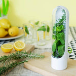 Glass Storage Container Fresh Herb Keeper. Shop Food Storage Containers on Mounteen. Worldwide shipping available.