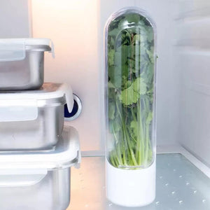 Glass Storage Container Fresh Herb Keeper. Shop Food Storage Containers on Mounteen. Worldwide shipping available.