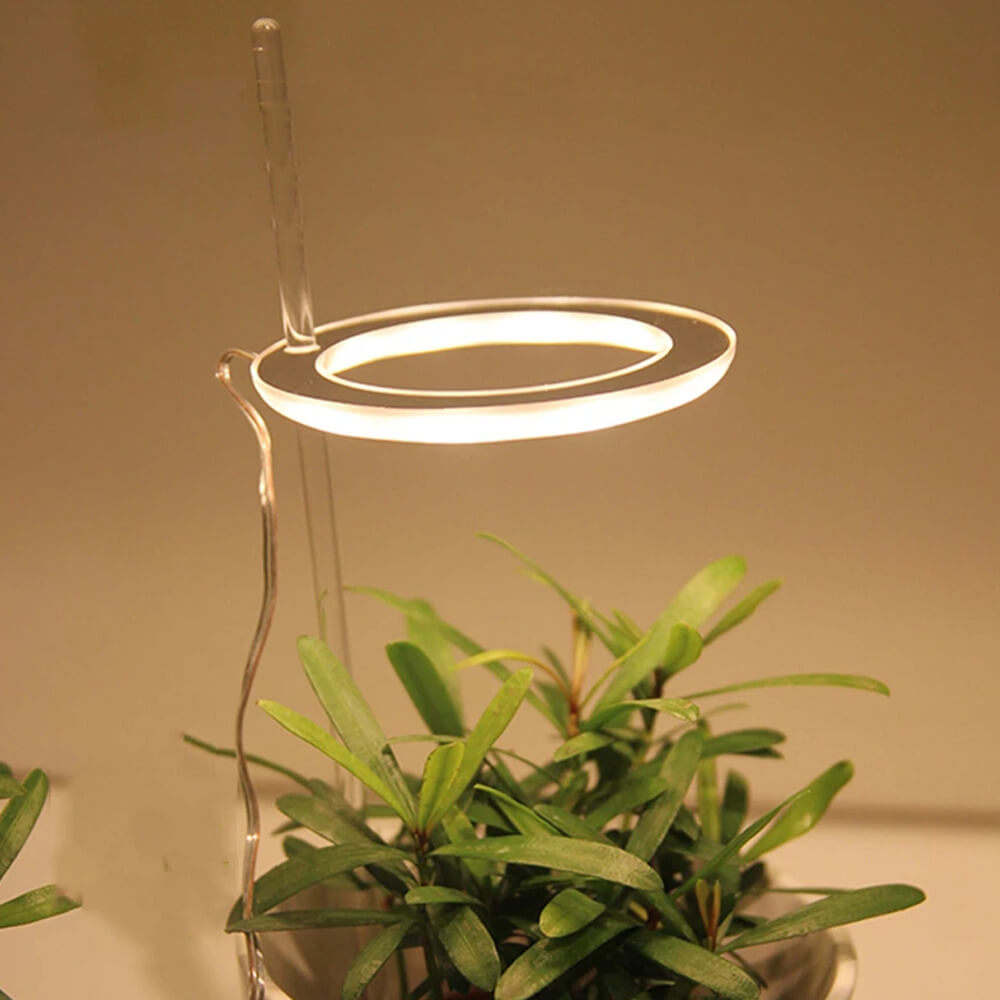 Grow Lights For Indoor Plants. Shop Lamps on Mounteen. Worldwide shipping available.