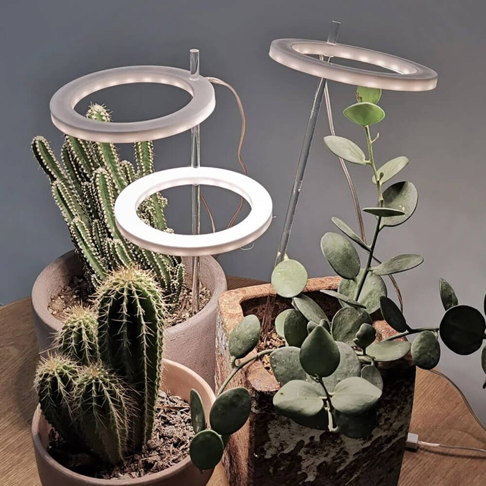 Grow Lights For Indoor Plants. Shop Lamps on Mounteen. Worldwide shipping available.