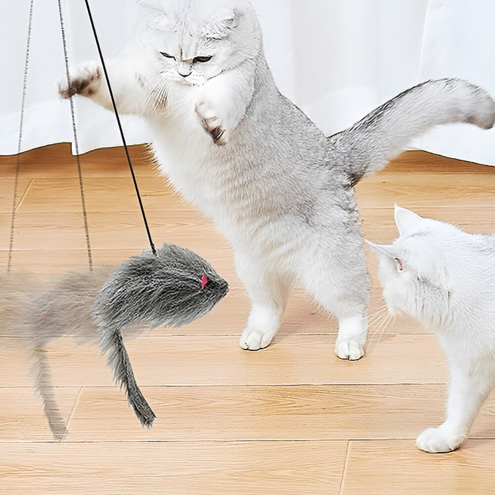 Interactive Hanging Mouse Cat Toy. Shop Cat Toys on Mounteen. Worldwide shipping available.