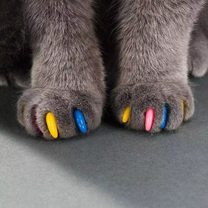 Kitten Claw Nail Cover Caps. Shop Cat Supplies on Mounteen. Worldwide shipping available.