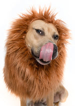 Lion Mane Wig for Dogs. Shop Dog Supplies on Mounteen. Worldwide shipping available.