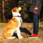 Long Retractable Dog Leash. Shop Dog Supplies on Mounteen. Worldwide shipping available.