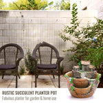 Succulent Planter Pot