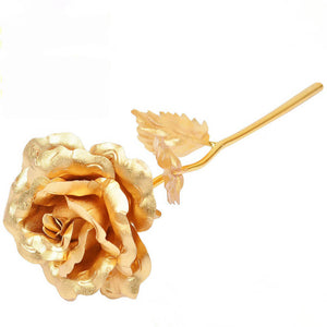 24K Gold Dipped Rose - Mounteen. Worldwide shipping available.