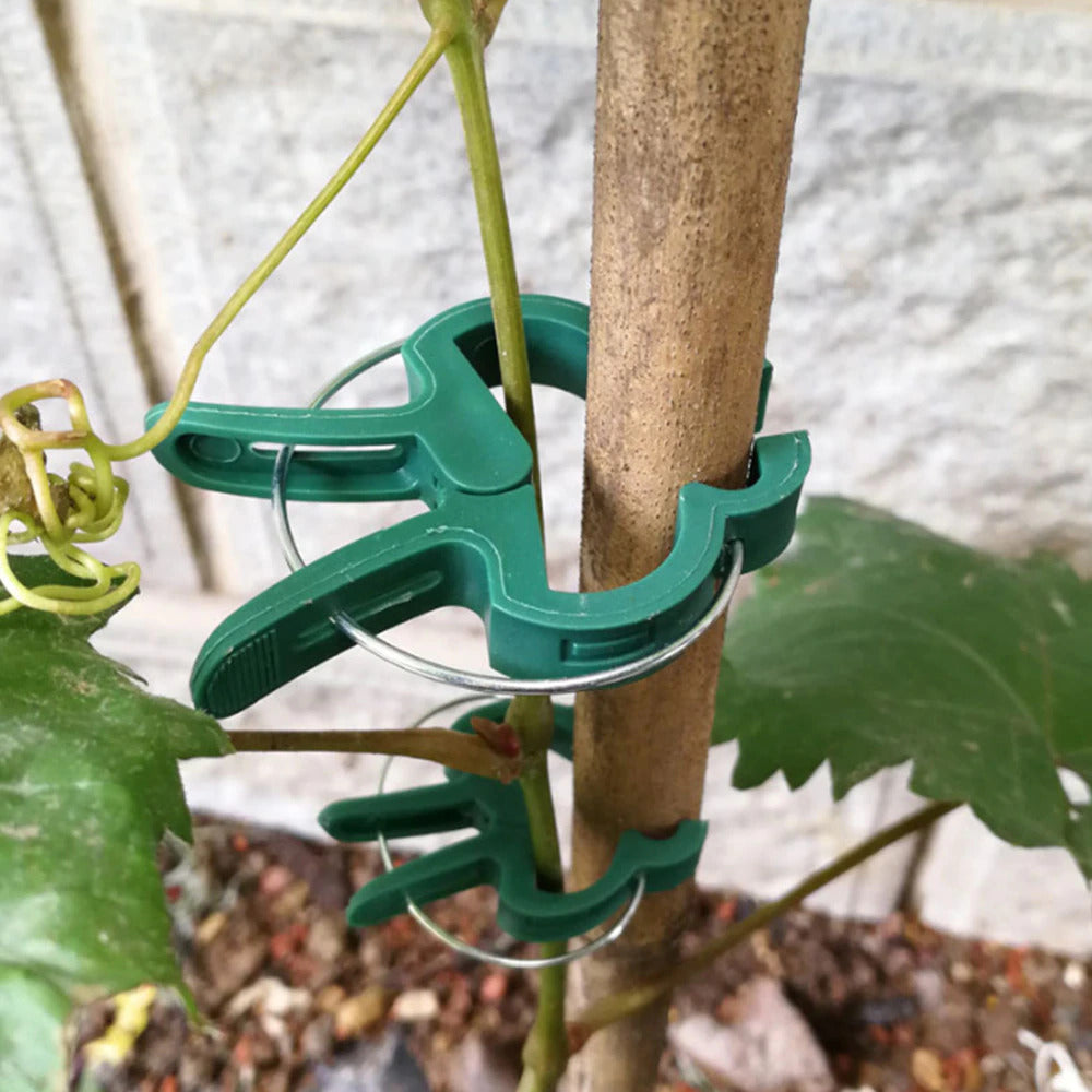 Green Plastic Plant Support Clips (20-Pack) - Mounteen. Worldwide shipping available.