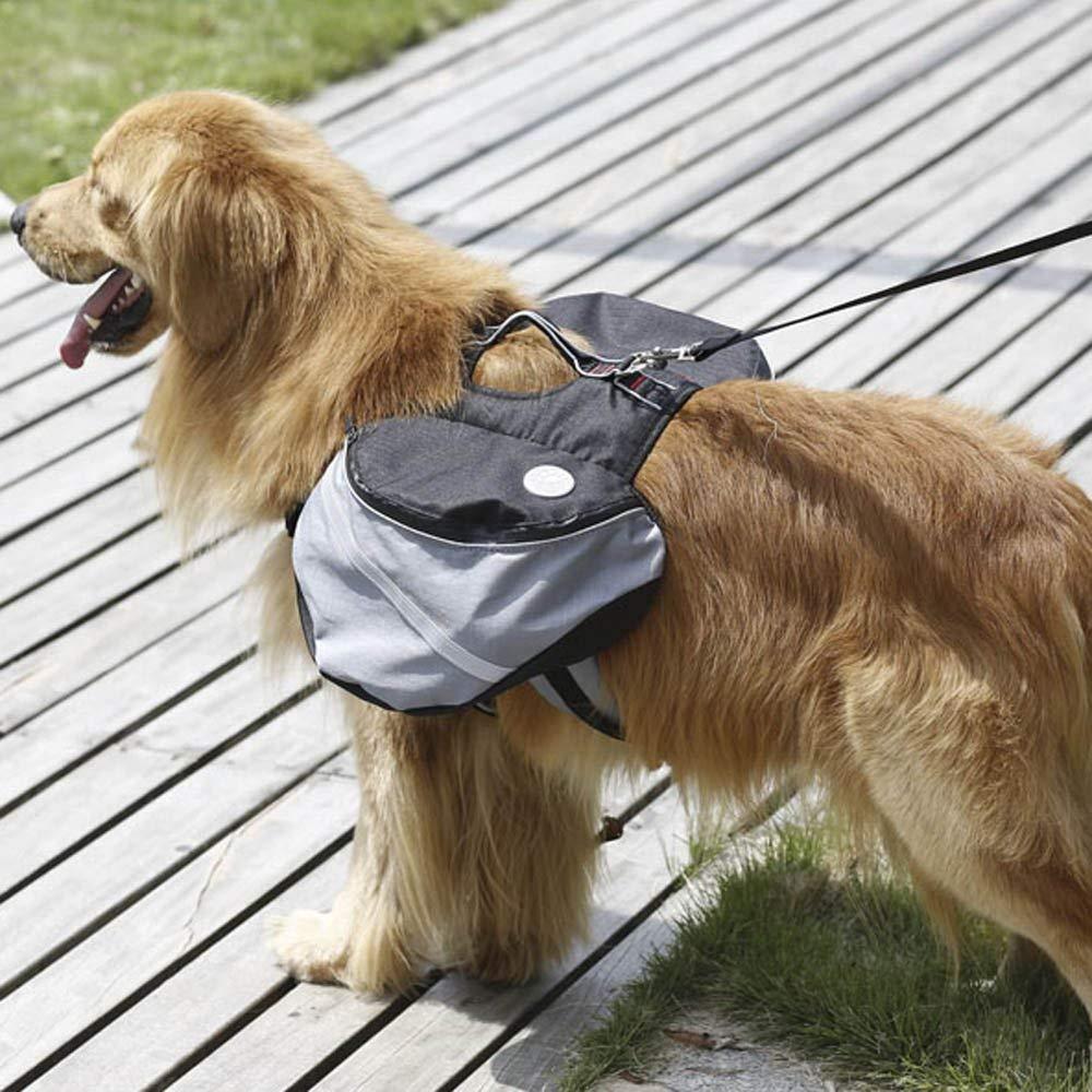 Hiking Backpack for Dogs - Mounteen. Worldwide shipping available.