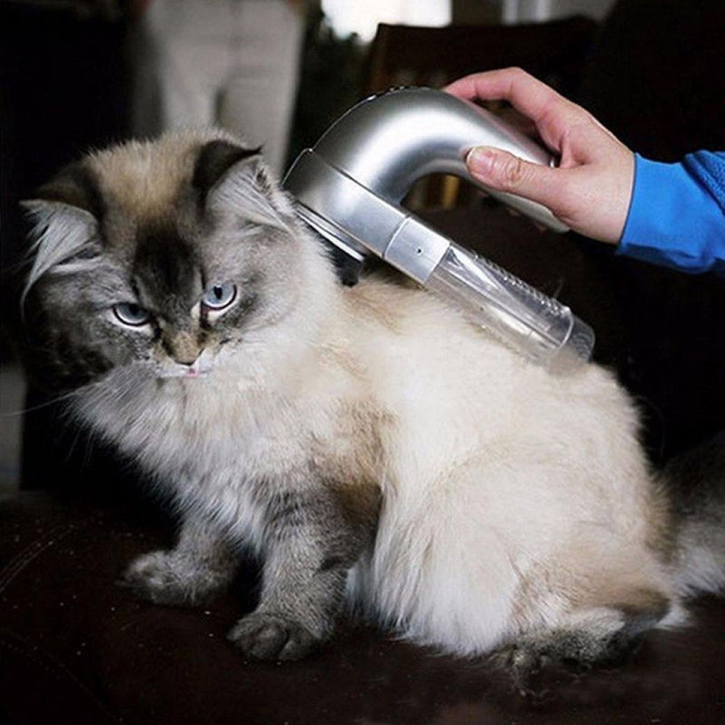 Portable Pet Hair Vacuum - Mounteen. Worldwide shipping available.